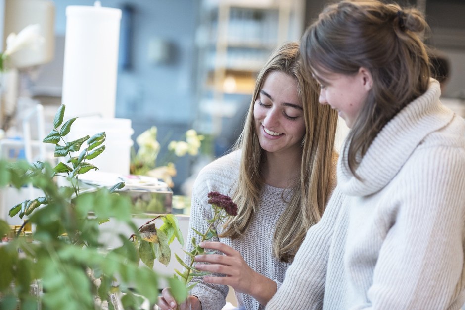 People tending indoor plants